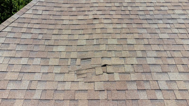 Asphalt Roof Inspection in Midlothian, VA