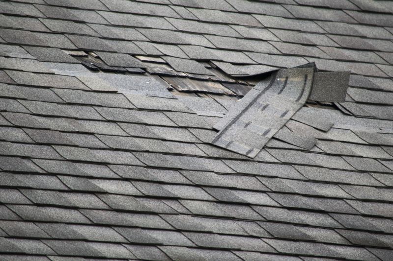 Asphalt Roof Leak Repair in Richmond, VA