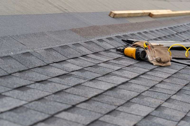Asphalt Roof Repair in Ashland, VA