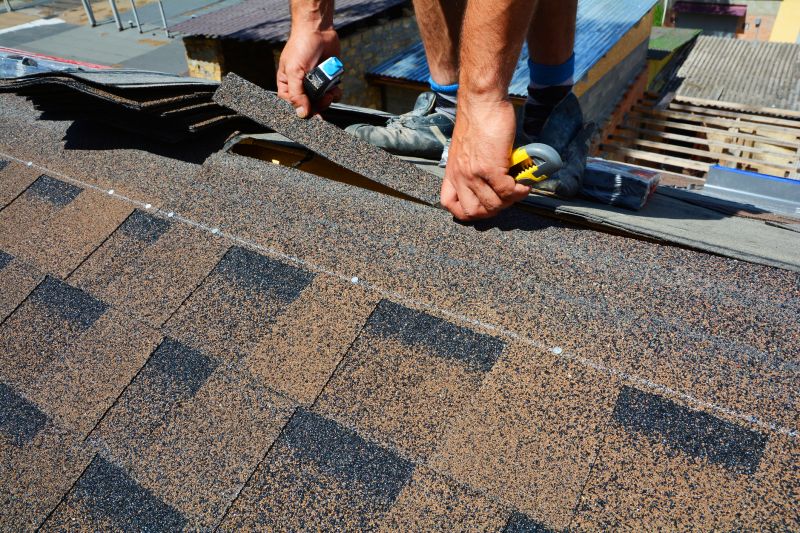 Asphalt Roof Repair in Moseley, VA