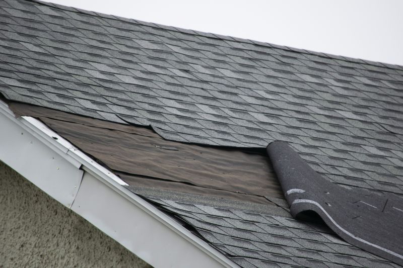 Asphalt Shingles Repair in Amelia Court House, VA