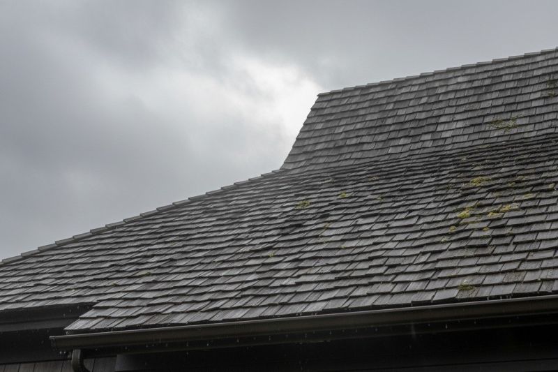Cedar Roof Replacement in Ashland, VA