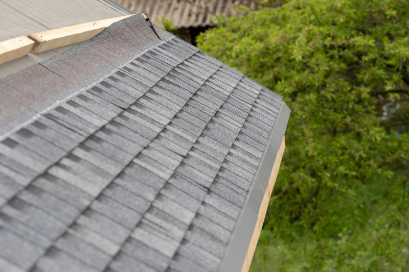Damaged Roof Repair in Chesterfield County, VA