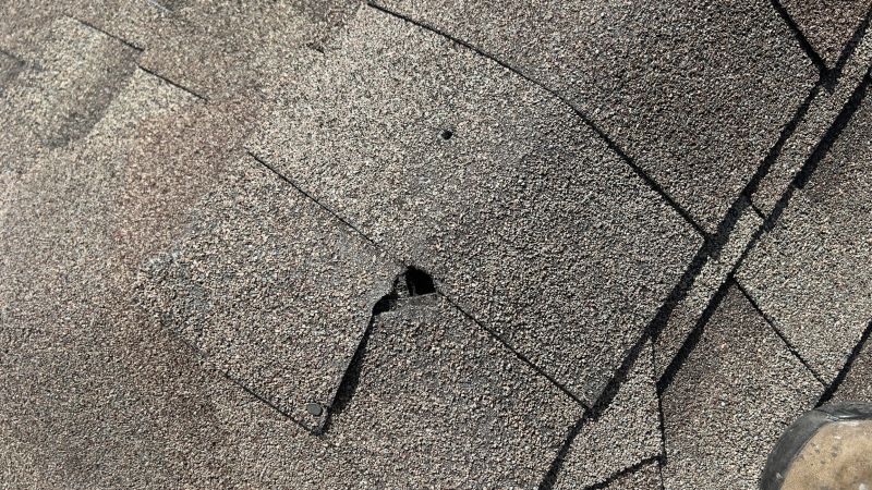 Damaged Roof Repair in Cumberland, VA