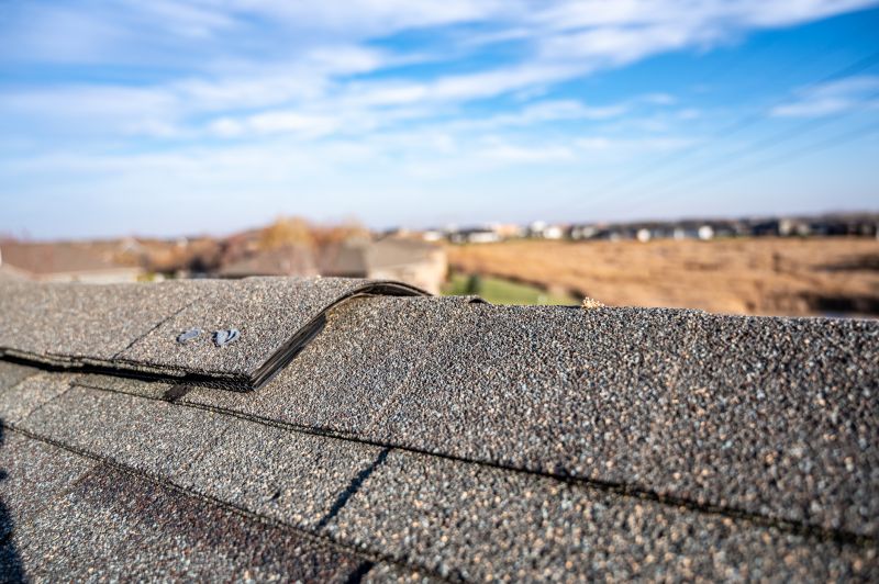 Damaged Roof Repair in Mineral, VA