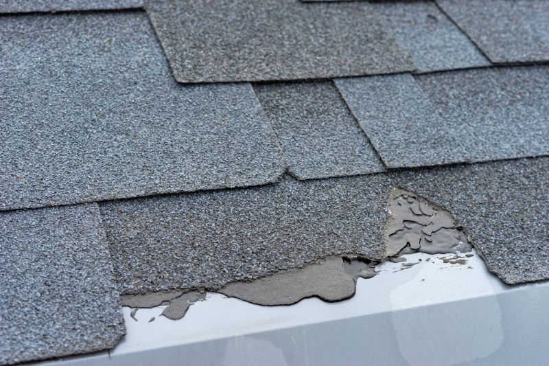 Damaged Roof Repair in Moseley, VA