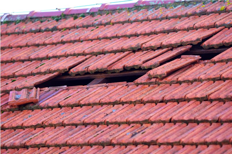 Roof Damage Inspection in Ashland, VA