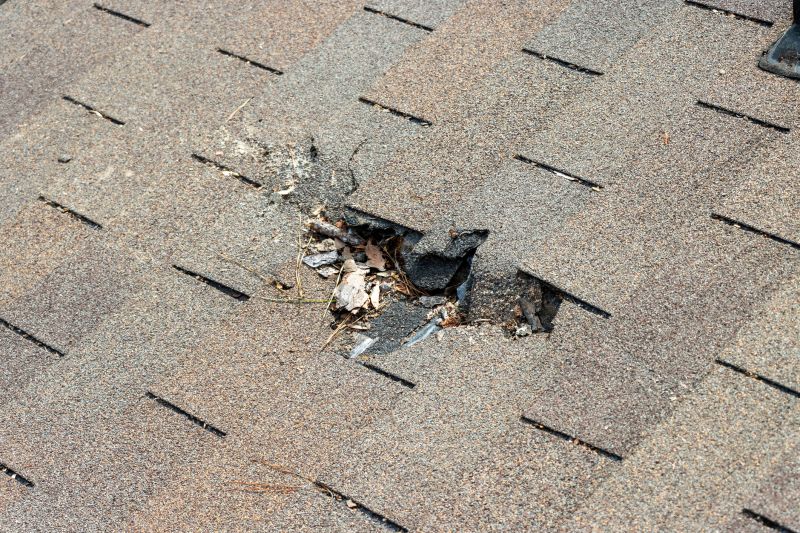 Roof Shingles Replacement in Henrico County, VA