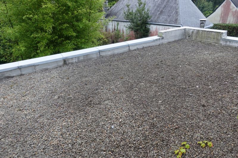 Tar And Gravel Roof Repair in Amelia County, VA