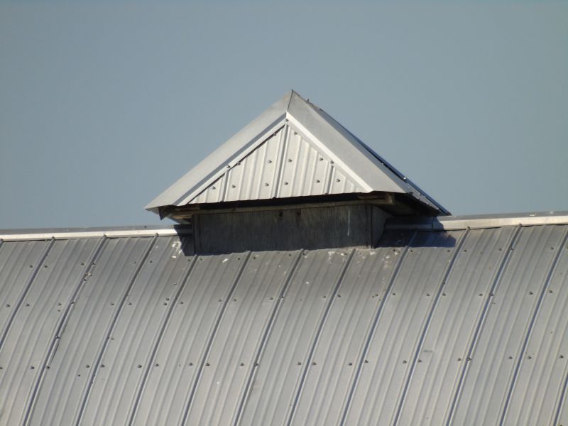 Tin Roof Installation in Mineral, VA