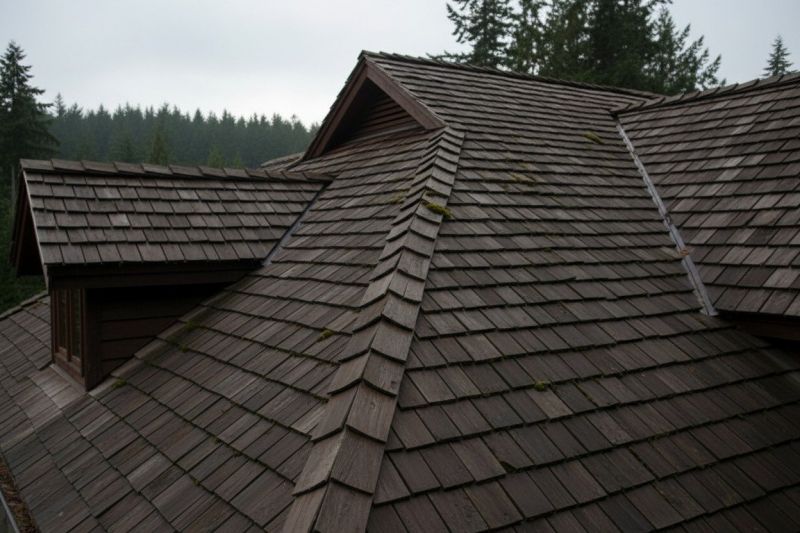 Wood Shake Roof Replacement in Mineral, VA